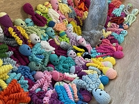 WILD STONE supports Nedoklubko project WILD STONE supports Nedoklubko project